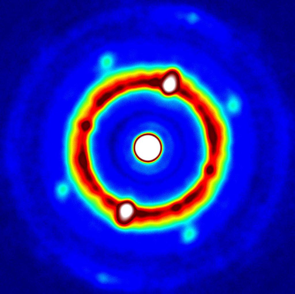 quantum turtle